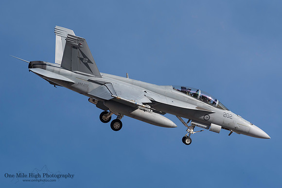 Boeing F/A-18F Super Hornet (A44-202)