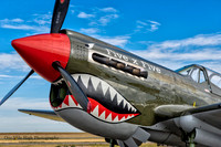 Curtis Wright P-40N Warkawk (NL977WH) - "Five x Five"