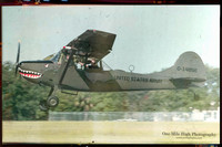 Cessna 305A Bird Dog (N305FU)