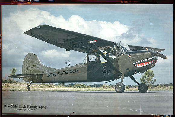 Cessna 305A Bird Dog (N305FU)