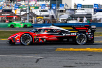 #31 Whelen Cadillac Racing - Cadillac V-Series R