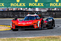 #31 Whelen Cadillac Racing - Cadillac V-Series R