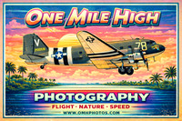 C-47 1970s Miami Look - ChatGPT Image