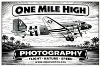 C-47 B&W Comic Look - ChatGPT Image