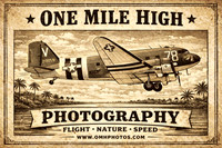 C-47 in 1800s Style - ChatGPT Image