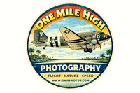 C-47 1950s-1960s Bold Color (Circular Format) - ChatGPT Image