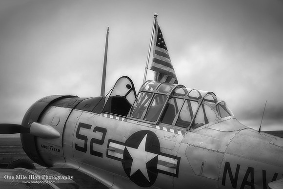 1943 North American SNJ-5 Texan (N3645F)