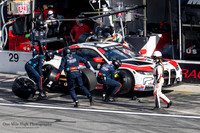 #1 Paul Miller Racing - BMW M4 GT3