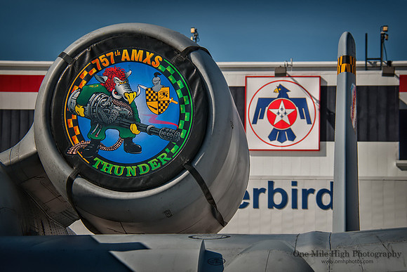 Fairchild A-10C Thunderbolt (80-0176) - 66th WPS