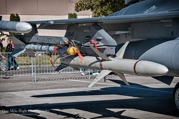 Lockheed Martin F-16C Block 52D - Aim-9 & AGM-88 HARM