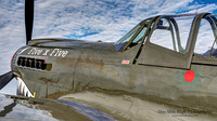 Curtis Wright P-40N Warkawk (NL977WH) - "Five x Five"
