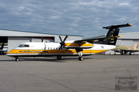 Golden Knight Parachute TEam