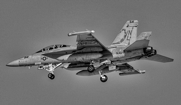 Boeing EA-18G Growler (BuNo 166895) - VAQ-132 Scorpions