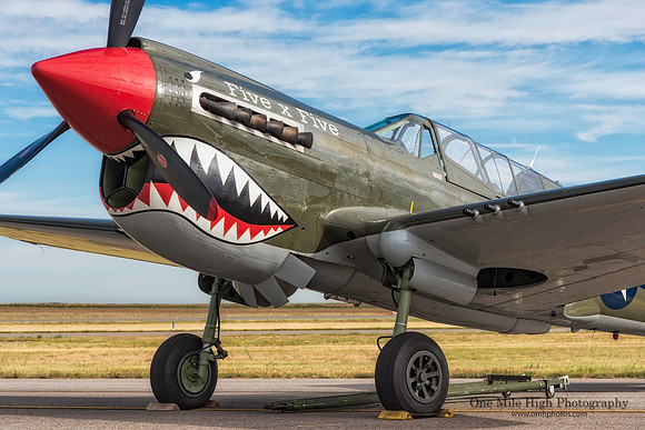 Curtis Wright P-40N Warhawk (NL977WH) - Five x Five