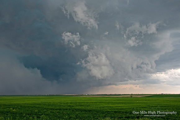 Watkins, CO (2014-05-21)