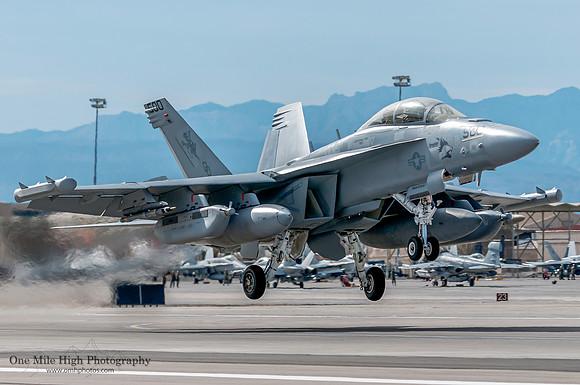 Boeing EA-18G Growler (BuNo 166642) - VX-31 Dust Devils