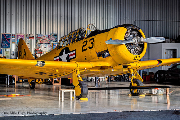 North American SNJ-5 Texan (N2023) - Don Nelson Airshows