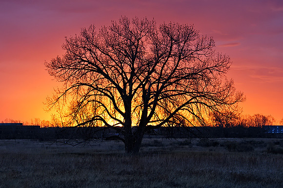 Colorado Sunrise