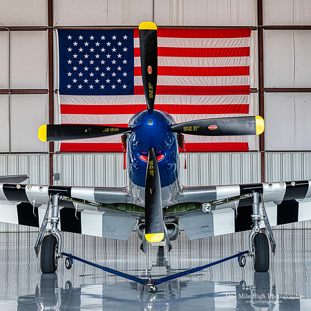 1944 North American TF-51D-30NA Mustang (NL351DT)
