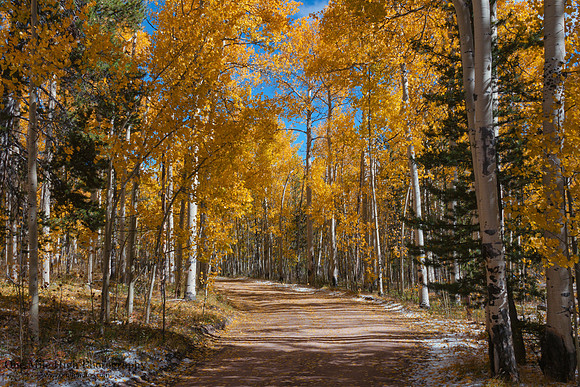 Kenosha Pass, CO
