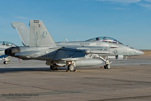 Boeing EA-18G Growler (BuNo 166896)