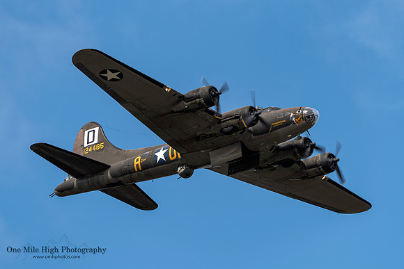 Boeing B-17 Flying Fortress (N3703G)