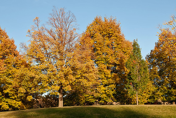 Aurora, CO