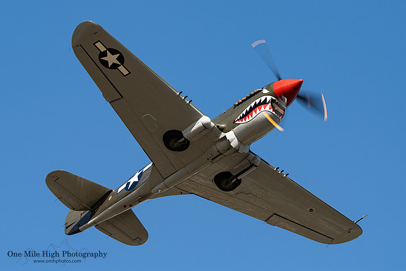 Curtis Wright TP-40N Warhawk (NL997WH) - American Dream