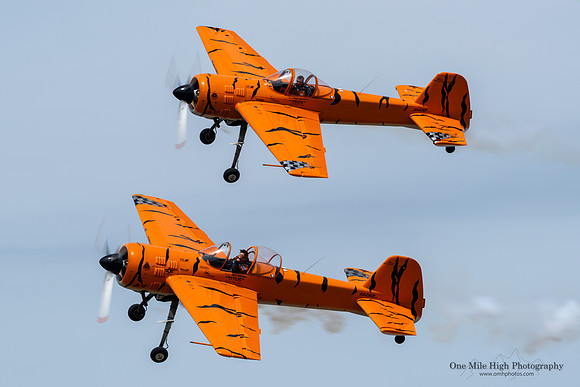 Yakovlev Yak-55M (N921GR) - Tiger Airshows (Mark Sorenson)