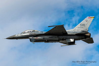Lockheed F-16CM-50-CF Falcon (91-0376)