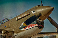 1941 Curtis P-40E Warhawk (N2416X)