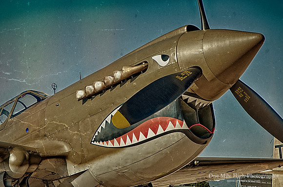 1941 Curtis P-40E Warhawk (N2416X)