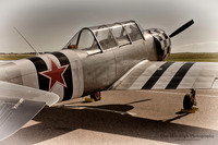 2003 S C Aerostar S A Yak-52TW (N57AZ)