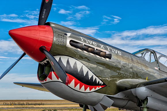 Curtis Wright P-40N Warkawk (NL977WH) - "Five x Five"