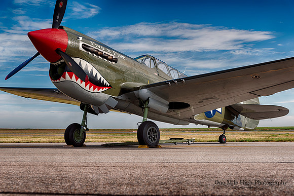 Curtis Wright P-40N Warhawk (NL977WH) - "Five x Five"