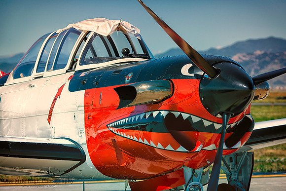 1973 Beech T-34C mentor (NX190AC)