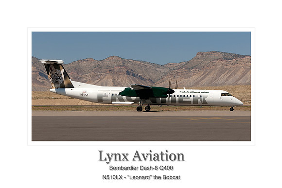 Lynx Aviation Poster (12" x 18")