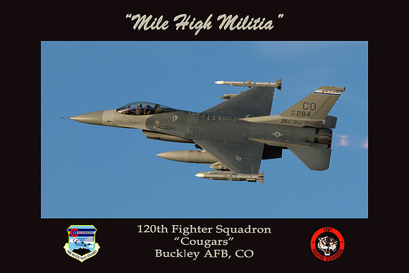 120th Fighter Squadron Poster (16" x 24")