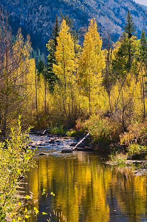 South Cottonwood Creek - County Rd 344