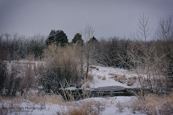 Cold Winter Morning