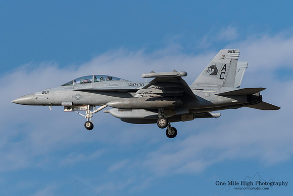 Boeing EA-18G Growler (BuNo 168251)