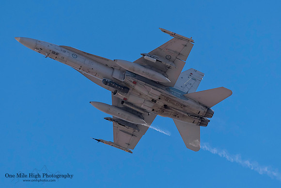 McDonnell Douglas F/A-18 Hornet (A21-14) - No. 3 Sq - RAAF Base Williamtown, NSW