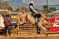 Saddle Bronc Riding