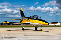 1984 Aero Vodochody L-39C Albatros (N247SG) - Tumbling Goose LLC