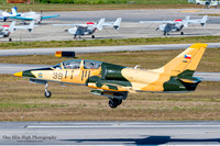 Aero Vodochody L-39C Albatros (NX39RZ) - Albatros Investments LLC