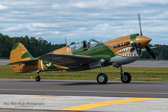 1944 Curtiss-Wright P-40N Warhawk (NL40PN)