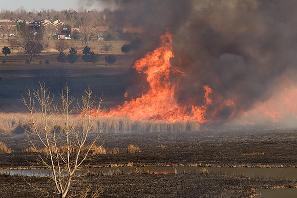 Denver Grass Fire (8 Mar 2009)