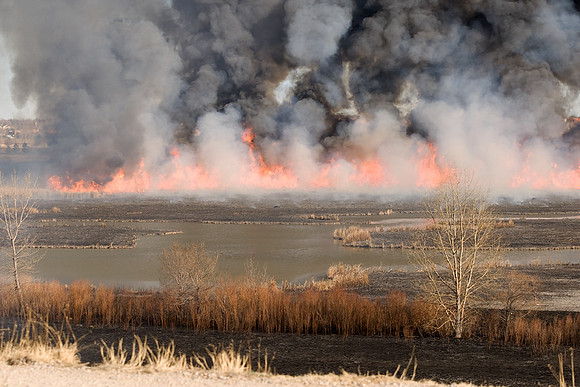 Denver Grass Fire (8 Mar 2009)