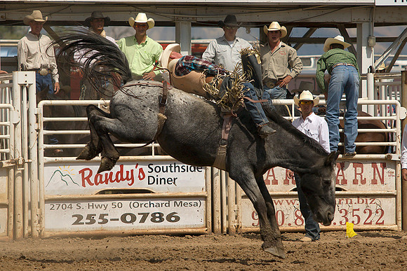CPRA 2007 Finals - Bareback Riding