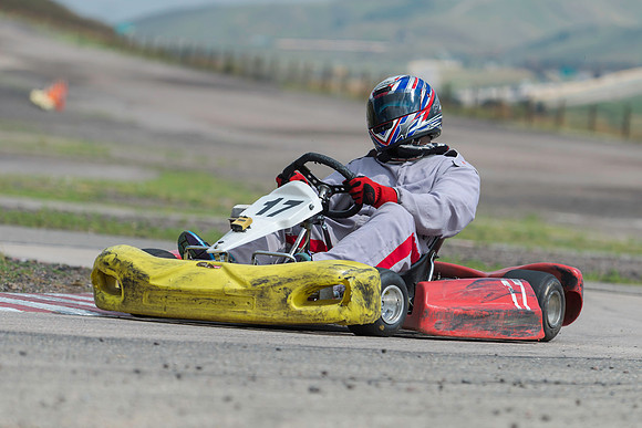 Kart #7 & #17 - Medina Alert